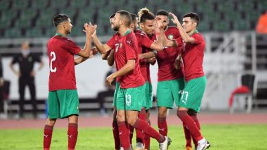 Photo of الجامعة تبدأ إجراءات تأهيل لاعب جديد مع الأسود