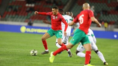 Photo of سليم أملاح يتوج بجائزة “الأسد البلجيكي”