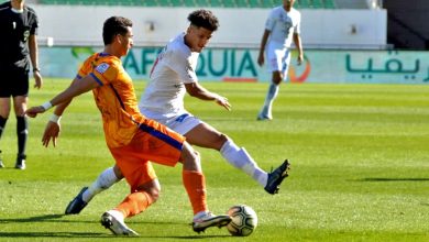 Photo of الجامعة تصدم 5 أندية وتقلص لوائحها إلى 20 لاعبا