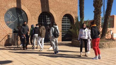 Photo of إناث الكوكب ينخرطن في حملة “كلنا معاك”