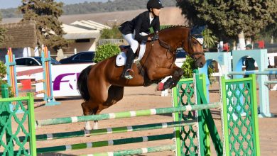 Photo of زلزال الحوز.. إلغاء المنافسات الرسمية المبرمجة من طرف الجامعة الملكية المغربية للفروسية