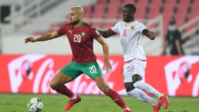 Photo of فيديو.. الأسود يواصلون التألق ويهزمون غينيا بهدفين في الشوط الأول