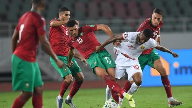 Photo of الأسود يواجهون أمريكا في أول اختبار بعد التأهل للمونديال