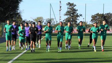 Photo of مسحة سلبية للأسود قبل ملاقاة غينيا بيساو وغينيا