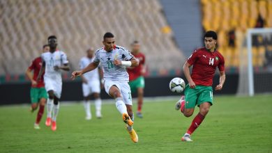 Photo of ارتباك ببعثة الأسود بعد إصابة لاعبين مهمين في التداريب