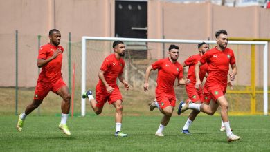 Photo of فحوصات جديدة للاعب مهم بالأسود قبل قمة مالاوي