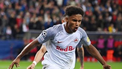 Photo of دورتموند يقرر التعاقد مع نجم المانشافت وهداف الدوري النمساوي