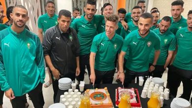 Photo of الأسود المحلية تحتفل بهيمنة الوداد ونهضة بركان على لقبي القارة