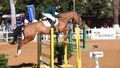 Photo of نادي المهماز الفضي للفروسية يحتضن من جديد مسابقة القفز على الحواجز