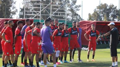 Photo of الأسود المحلية تشد رحالها صوب النمسا