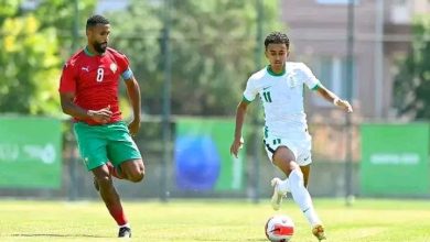 Photo of الناجي وسليم من تركيا إلى دوري النمسا رفقة المحليين