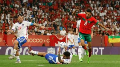 Photo of بيع 6400 تذكرة لمباراة الأسود وجورجيا