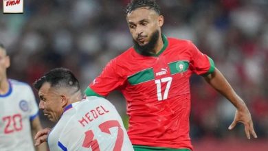 Photo of فيديو.. بوفال يمنح التقدم للأسود أمام الشيلي