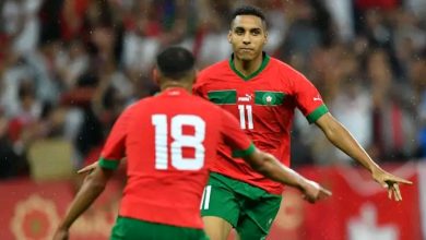 Photo of رسمياً الصربي ستانكوفيتش مدربا جديدا للصابيري في سامبدوريا