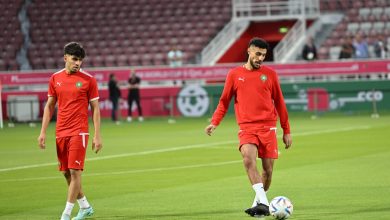 Photo of فيديو.. لأول مرة حضور عائلات لاعبي الأسود للحصة التدريبية