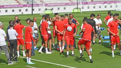 Photo of موتسيبي يفاجئ لاعبي الأسود بهذا القرار