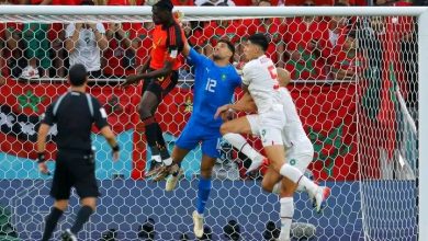 Photo of الجامعة تطلب علاج حارس الأسود بمركز محمد السادس