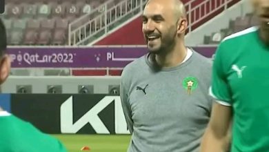 Photo of حصة تدريبية مفتوحة للأسود أمام وسائل الإعلام