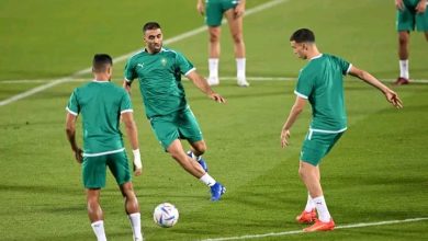 Photo of الأسود يستهلون استعداداتهم لمواجهة فرنسا بحصة تدريبية مغلقة