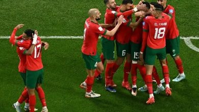 Photo of فحوصات جديدة لنجمي الأسود بعد مواجهة البرتغال