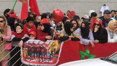 Photo of فيديو.. أجواء رائعة في استقبال الأسود
