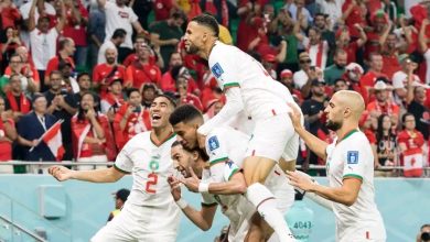 Photo of 700 مليون للأسود للتويج بثاني كأس إفريقية بالكوت ديفوار