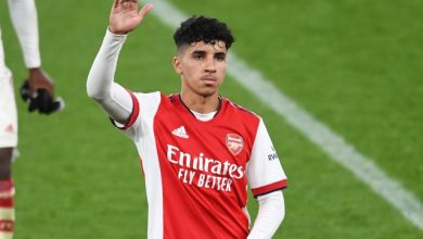 Photo of الجامعة تنجح في اقناع موهبة جديدة بتمثيل الأسود
