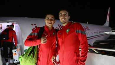 Photo of الأسود يسافرون إلى فرنسا في هذا الموعد