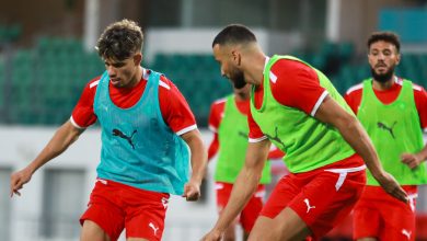 Photo of فيديو.. الأسود يخوضون آخر حصة تدريبية قبل مواجهة بوركينافاسو