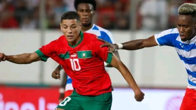 Photo of الفيفا يلغي مباراة الأسود وإريتريا