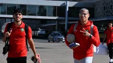 Photo of الجامعة تحدد موعد سفر الأسود إلى الكوت ديفوار بعد إلغاء مباراة غامبيا