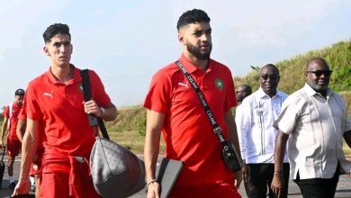 Photo of بعثة الأسود تصل إلى سان بيدرو