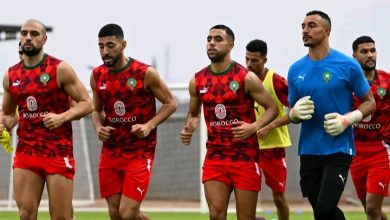 Photo of الشيبي: هدفنا العودة للمغرب متوجين بلقب كأس إفريقيا