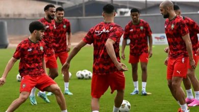 Photo of فيديو.. الأسود يخوضون الحصة التدريبية ما قبل الأخيرة تحسبا لمواجهة تنزانيا