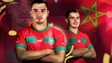 Photo of أنشيلوتي: إبراهيم لاعب هجومي ويستطيع تغطية جميع المراكز الأمامية