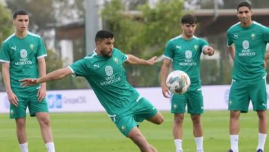Photo of فيديو.. الأسود ينهون التدريب بمركب محمد السادس قبل التوجه إلى أكادير
