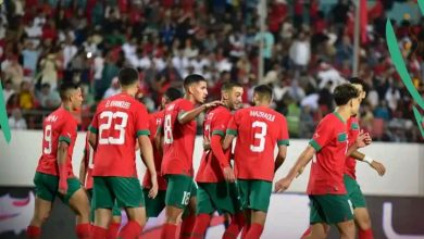 Photo of الأسود يتقدمون على الغابون في الشوط الأول