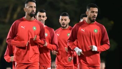Photo of فيديو.. تداريب مكثفة للمنتخب المحلي بكينيا
