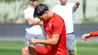 Photo of فيديو.. الأسود ينهون تحضيراتهم لمواجهة زامبيا