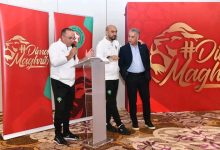 Photo of فيديو.. أجواء رائعة في تكريم اللاعبين الدوليين السابقين بمقر الأسود